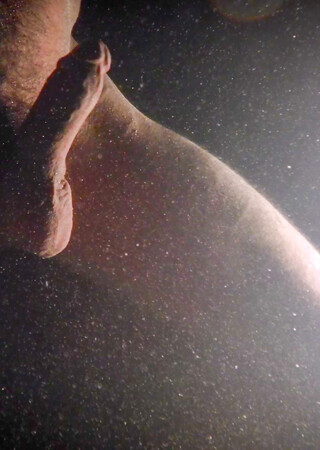 Cade's Late Night Dip